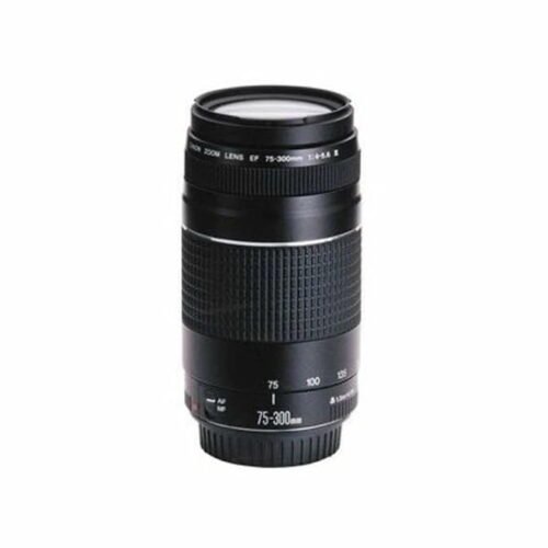 Canon EF 75-300mm 4.0-5.6 III