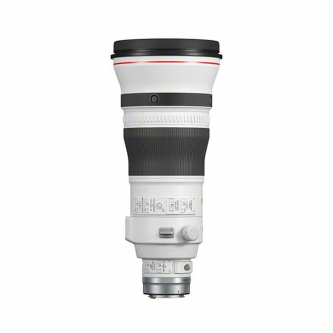 Canon RF 400mm F2.8L IS USM – Bild 3