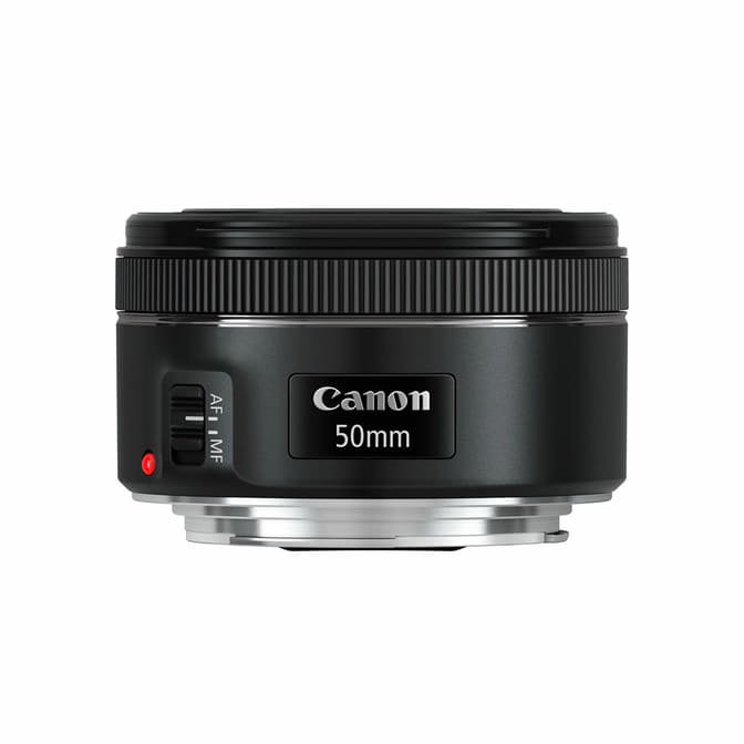 Canon EOS 2000D EF-S 18-55mm IS + EF 50m – Bild 4