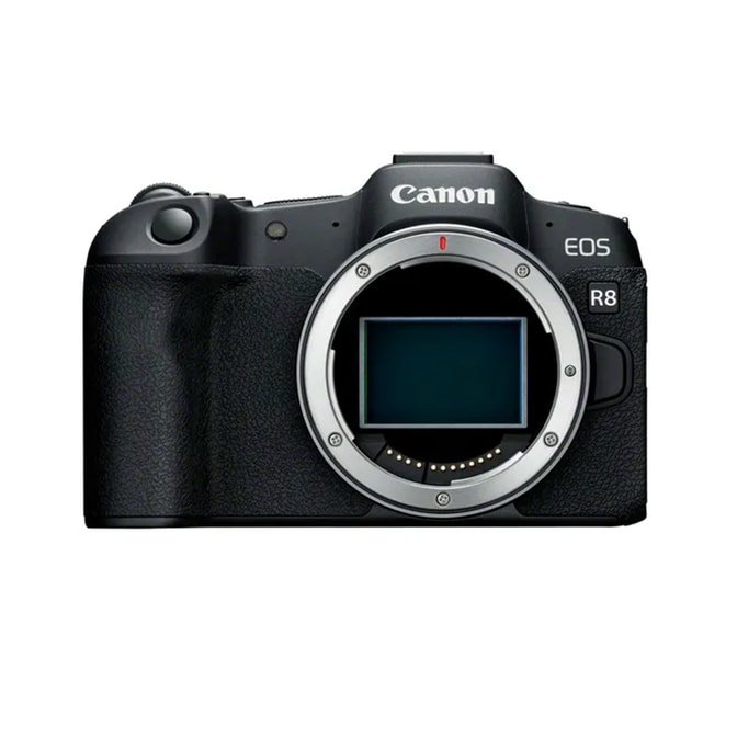 Canon EOS R8 + RF 24-105mm 4-7.1 IS STM – Bild 2